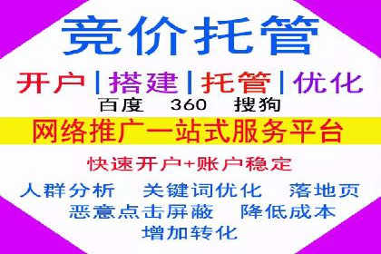 推广竞价策略优化：借鉴成功案例实现精准营销